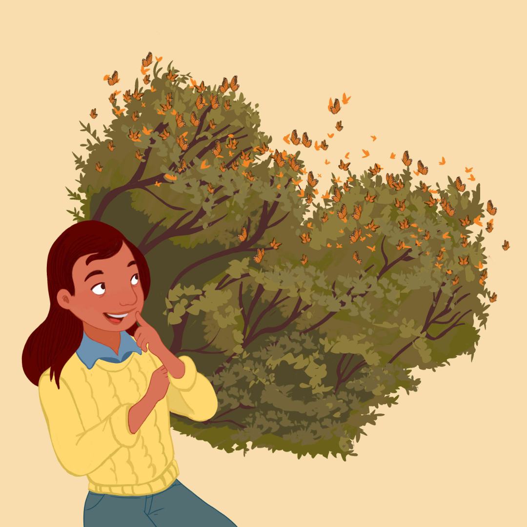 Children's Book Illustrator Junipers Butterfly Garden
