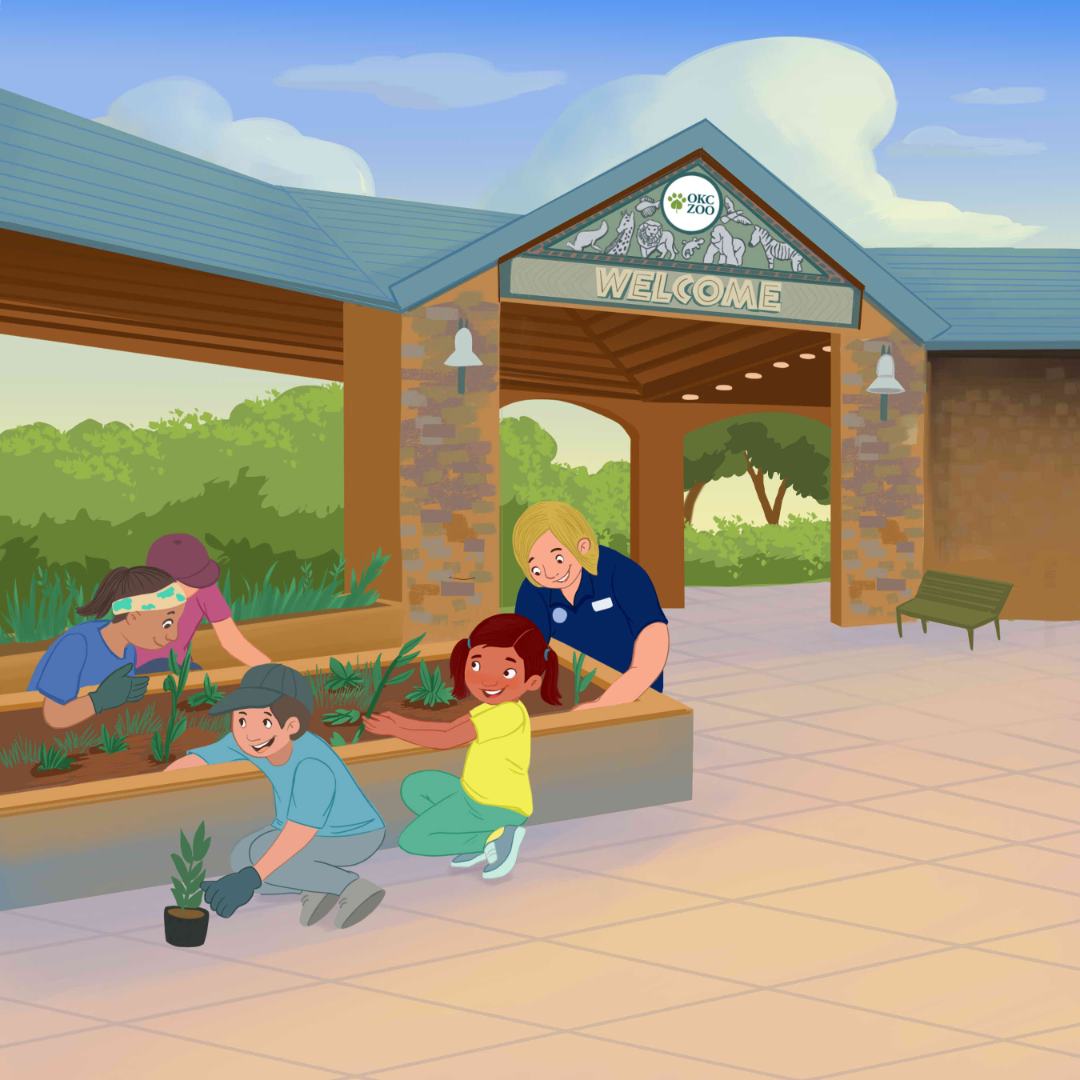 Children's Book Illustrator Junipers Butterfly Garden