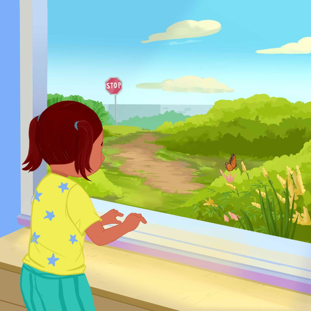 Children's Book Illustrator Junipers Butterfly Garden