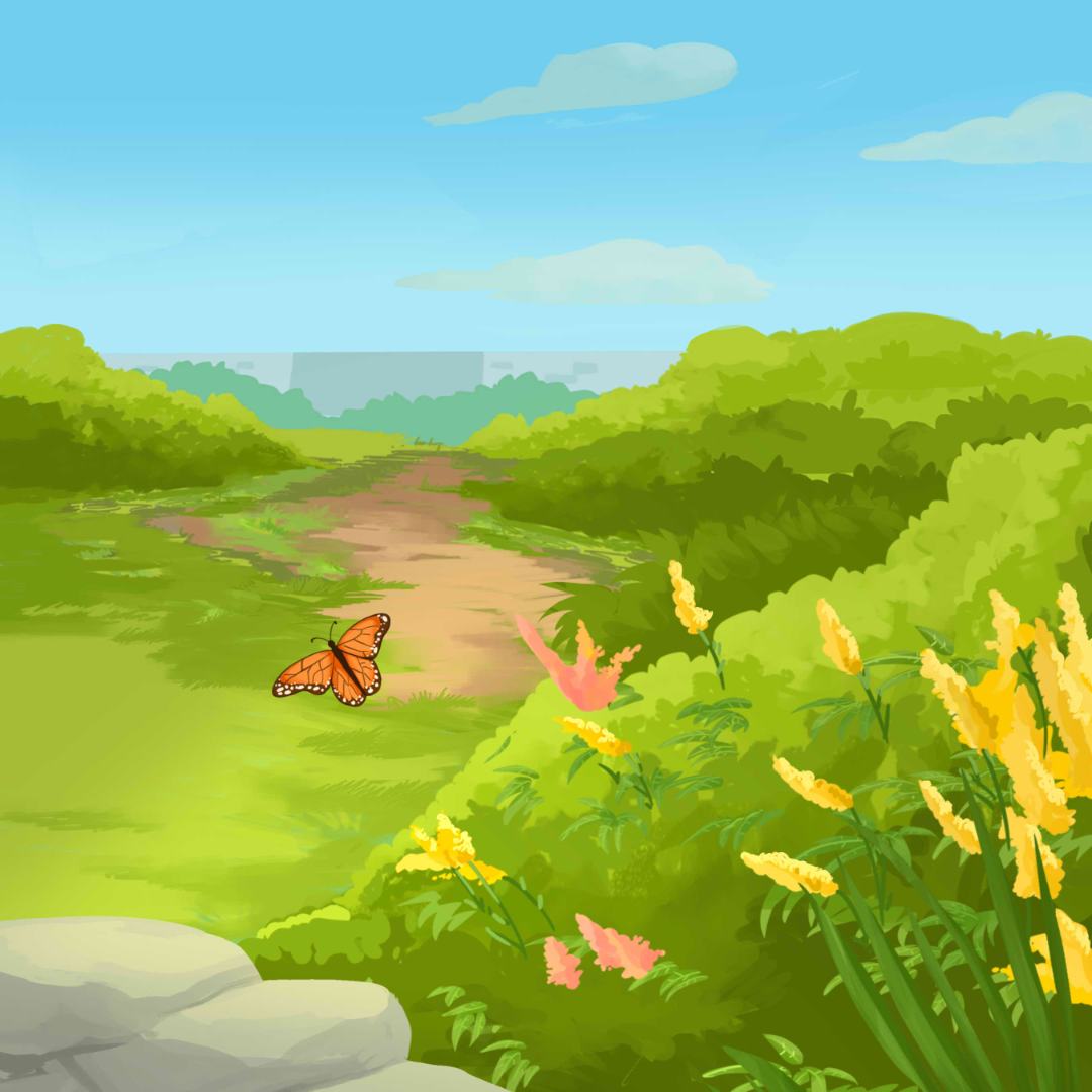 Children's Book Illustrator Junipers Butterfly Garden